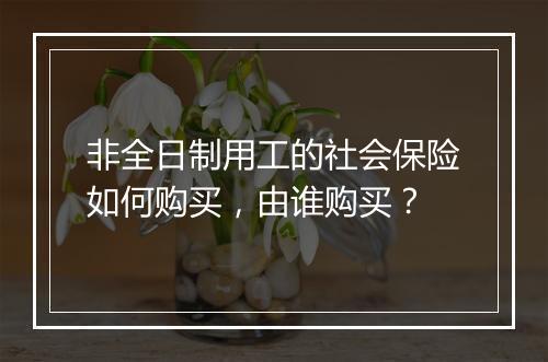 非全日制用工的社会保险如何购买，由谁购买？