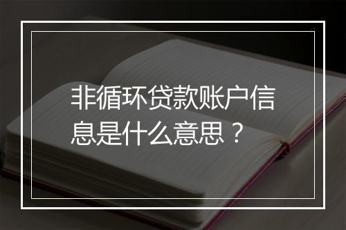 非循环贷款账户信息是什么意思？