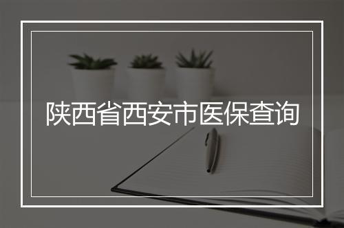 陕西省西安市医保查询
