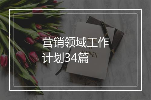 营销领域工作计划34篇