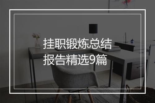 挂职锻炼总结报告精选9篇