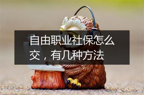 自由职业社保怎么交，有几种方法