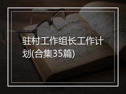 驻村工作组长工作计划(合集35篇)