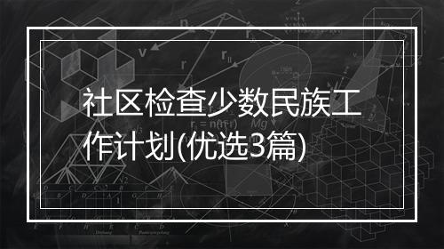 社区检查少数民族工作计划(优选3篇)