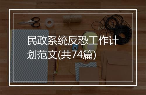 民政系统反恐工作计划范文(共74篇)