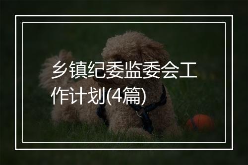 乡镇纪委监委会工作计划(4篇)