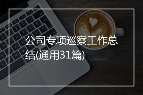 公司专项巡察工作总结(通用31篇)