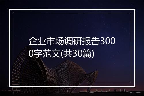 企业市场调研报告3000字范文(共30篇)