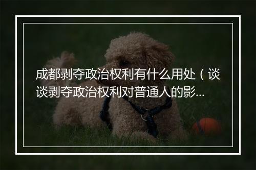 成都剥夺政治权利有什么用处（谈谈剥夺政治权利对普通人的影响）