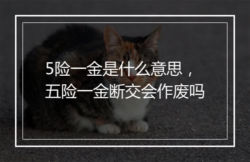 5险一金是什么意思，五险一金断交会作废吗