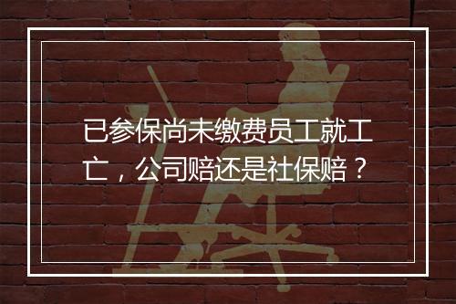 已参保尚未缴费员工就工亡，公司赔还是社保赔？