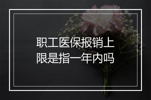 职工医保报销上限是指一年内吗