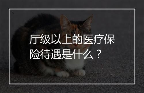 厅级以上的医疗保险待遇是什么？