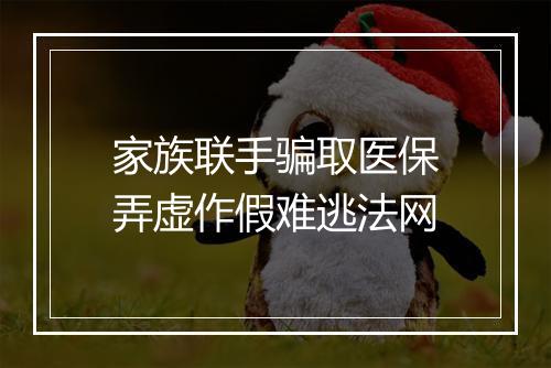 家族联手骗取医保弄虚作假难逃法网