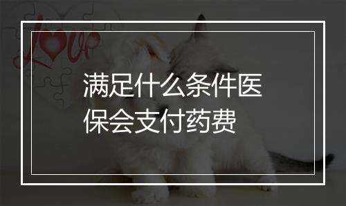满足什么条件医保会支付药费