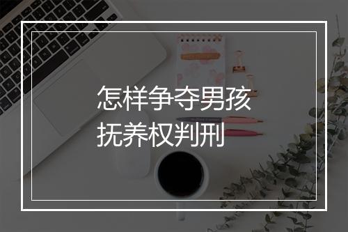 怎样争夺男孩抚养权判刑