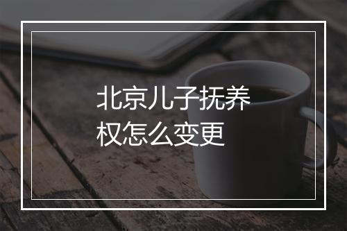 北京儿子抚养权怎么变更
