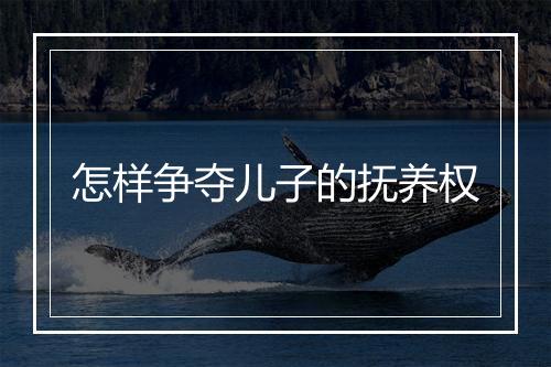 怎样争夺儿子的抚养权