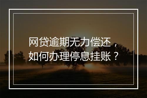 网贷逾期无力偿还，如何办理停息挂账？