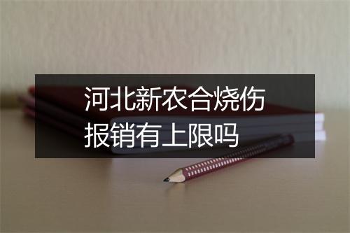 河北新农合烧伤报销有上限吗
