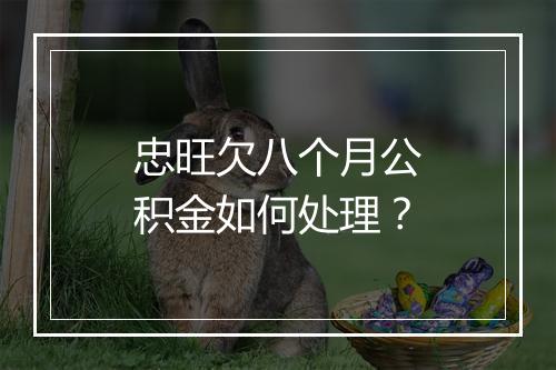 忠旺欠八个月公积金如何处理？