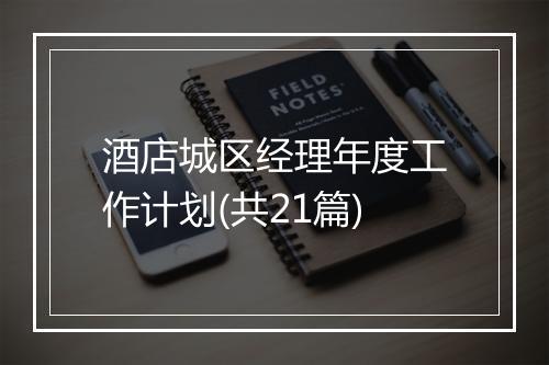 酒店城区经理年度工作计划(共21篇)