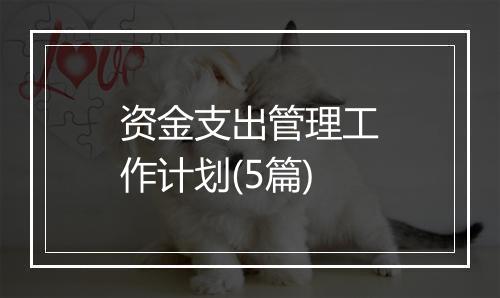 资金支出管理工作计划(5篇)