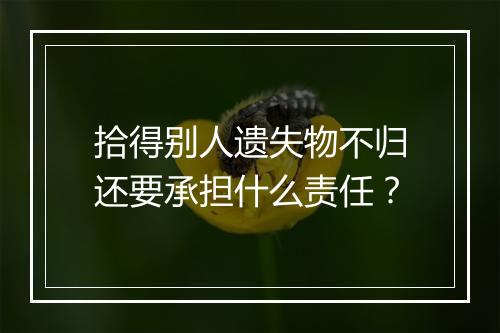 拾得别人遗失物不归还要承担什么责任？