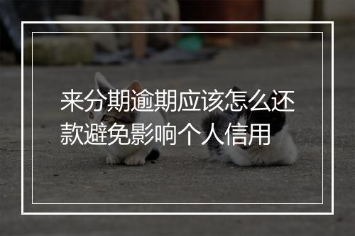 来分期逾期应该怎么还款避免影响个人信用