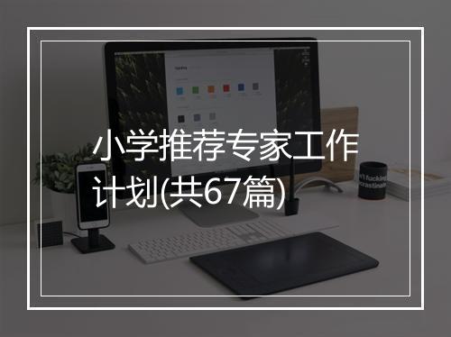 小学推荐专家工作计划(共67篇)