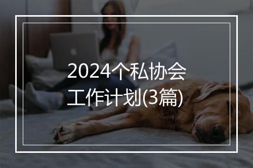 2024个私协会工作计划(3篇)