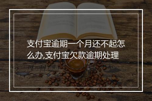 支付宝逾期一个月还不起怎么办,支付宝欠款逾期处理