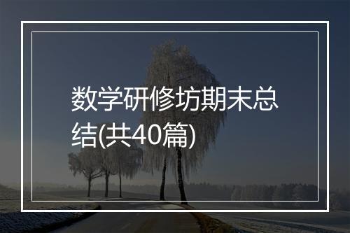 数学研修坊期末总结(共40篇)