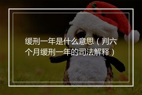 缓刑一年是什么意思（判六个月缓刑一年的司法解释）