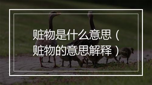 赃物是什么意思（赃物的意思解释）