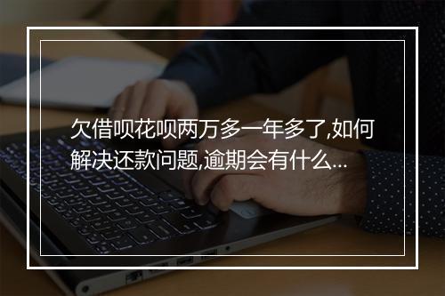 欠借呗花呗两万多一年多了,如何解决还款问题,逾期会有什么后果