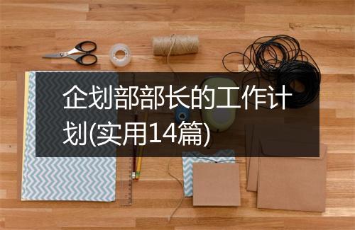 企划部部长的工作计划(实用14篇)