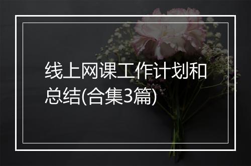 线上网课工作计划和总结(合集3篇)