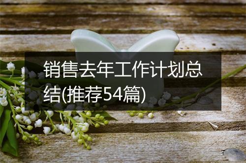销售去年工作计划总结(推荐54篇)