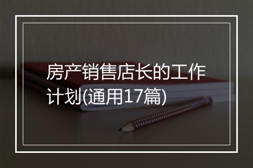 房产销售店长的工作计划(通用17篇)