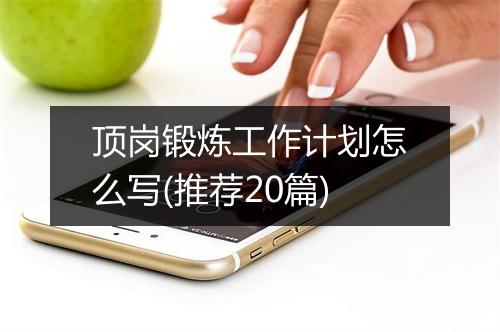 顶岗锻炼工作计划怎么写(推荐20篇)