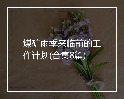 煤矿雨季来临前的工作计划(合集8篇)