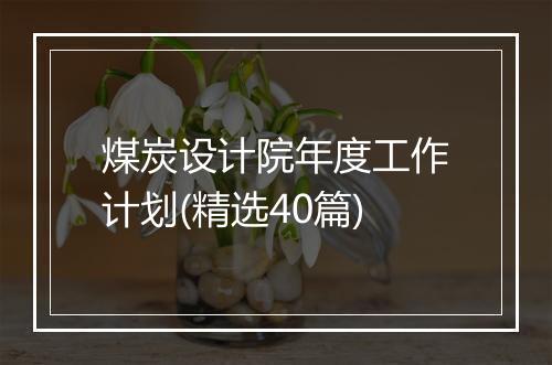 煤炭设计院年度工作计划(精选40篇)