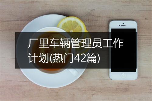 厂里车辆管理员工作计划(热门42篇)