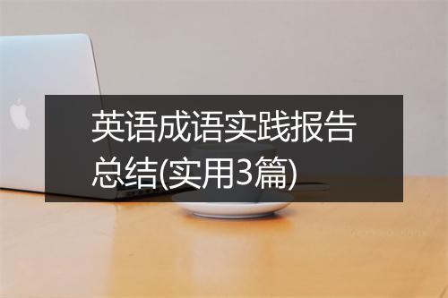 英语成语实践报告总结(实用3篇)