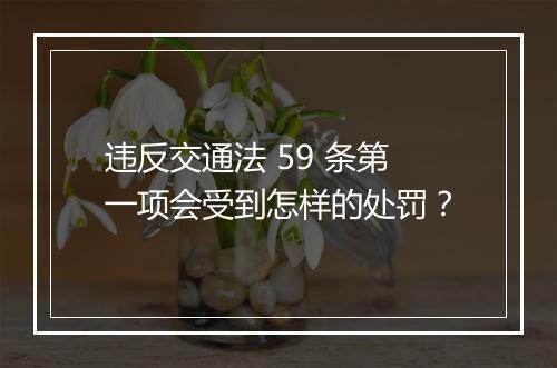 违反交通法 59 条第一项会受到怎样的处罚？