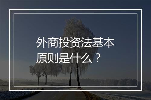 外商投资法基本原则是什么？
