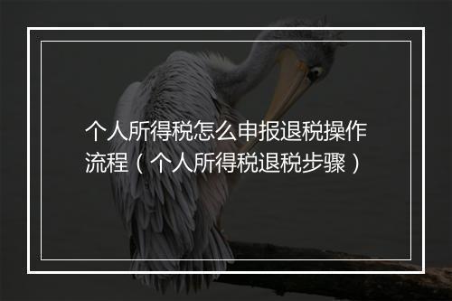 个人所得税怎么申报退税操作流程（个人所得税退税步骤）