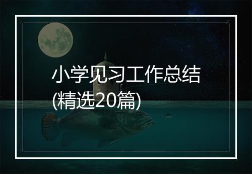 小学见习工作总结(精选20篇)