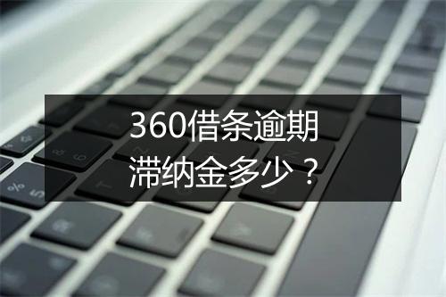 360借条逾期滞纳金多少？